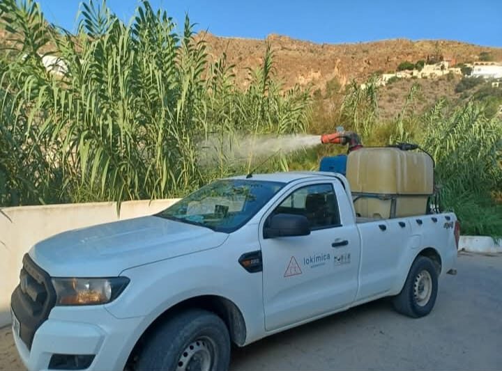 Mojácar mantendrá el riesgo alto por el Virus del Nilo durante los próximos tres años