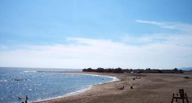 Cuevas levanta la prohibición de baño tras no encontrar más dragones azules en sus playas